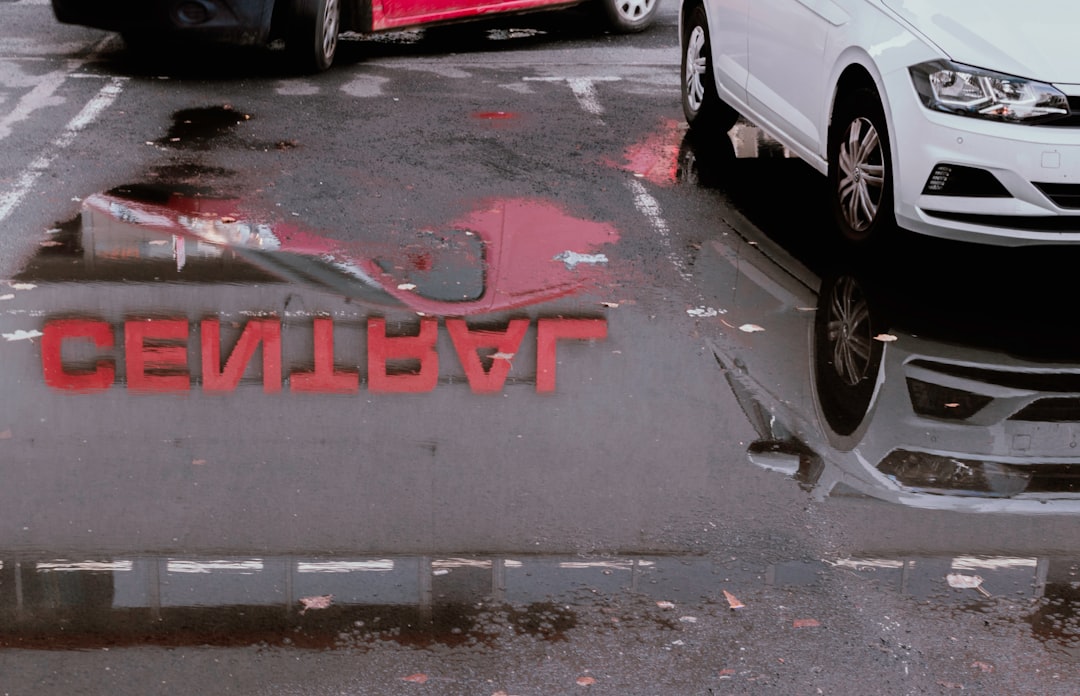 Color en diseño animado